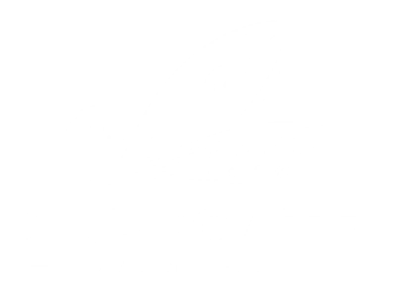 Surfgate logo